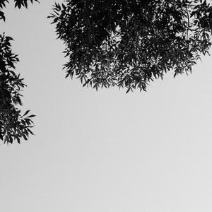 gogo人体大胆柳菁菁
